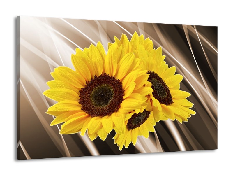 Glas schilderij Zonnebloem | Sepia, Geel, Bruin | 140x90cm 1Luik