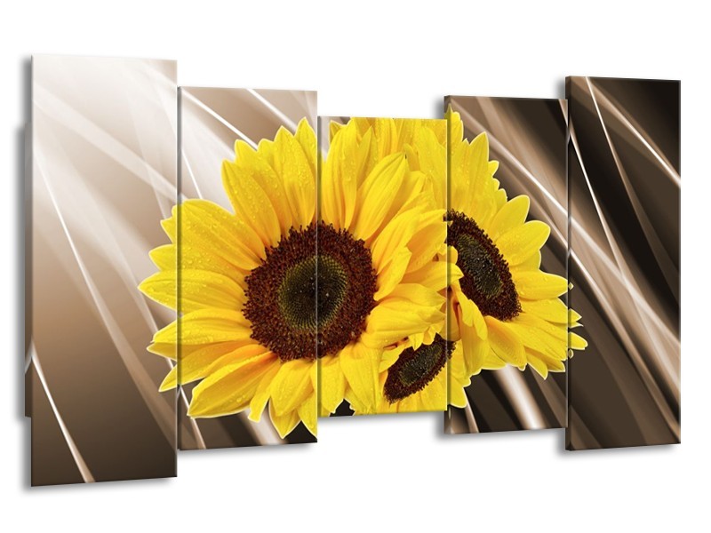 Canvas schilderij Zonnebloem | Sepia, Geel, Bruin | 150x80cm 5Luik