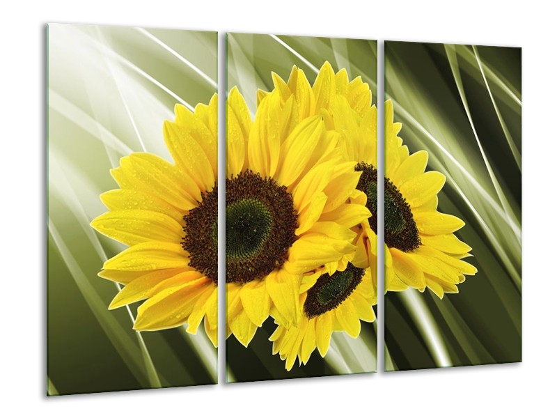 Glas schilderij Zonnebloem | Groen, Geel | 120x80cm 3Luik
