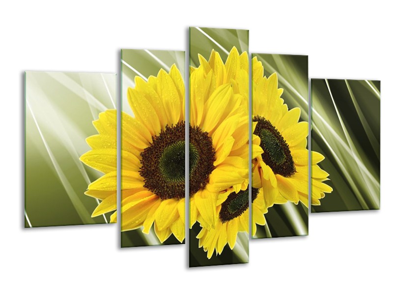 Canvas schilderij Zonnebloem | Groen, Geel | 170x100cm 5Luik