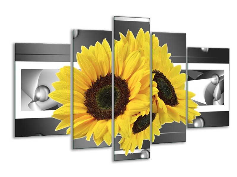 Canvas schilderij Zonnebloem | Geel, Grijs | 170x100cm 5Luik