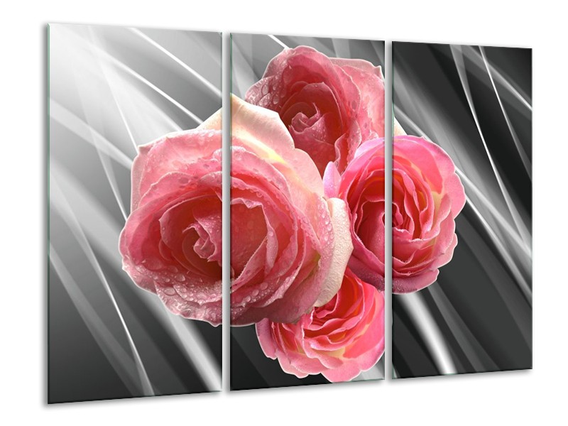 Glas schilderij Roos | Grijs, Roze | 120x80cm 3Luik