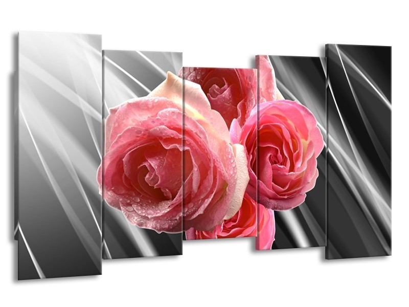 Canvas schilderij Roos | Grijs, Roze | 150x80cm 5Luik