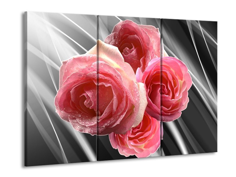 Glas schilderij Roos | Grijs, Roze | 90x60cm 3Luik