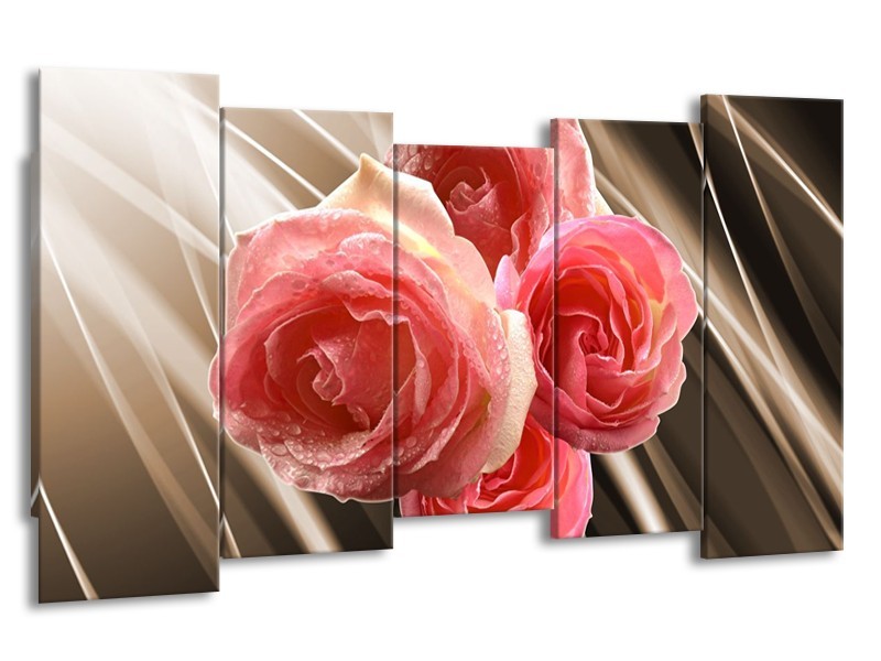 Canvas schilderij Roos | Sepia, Roze | 150x80cm 5Luik