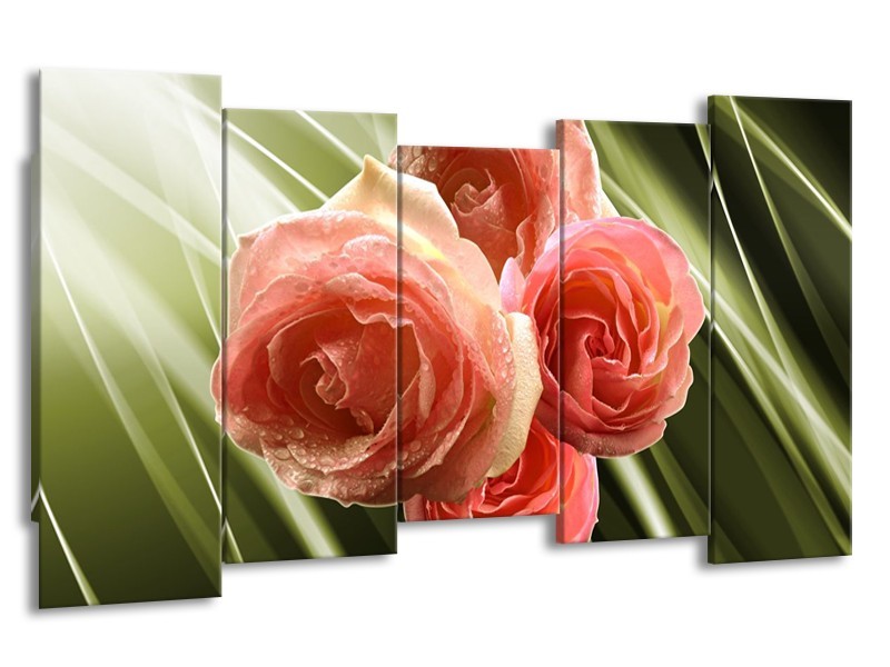 Canvas schilderij Roos | Roze, Groen | 150x80cm 5Luik