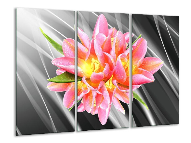 Glas schilderij Modern | Roze, Grijs, Geel | 120x80cm 3Luik