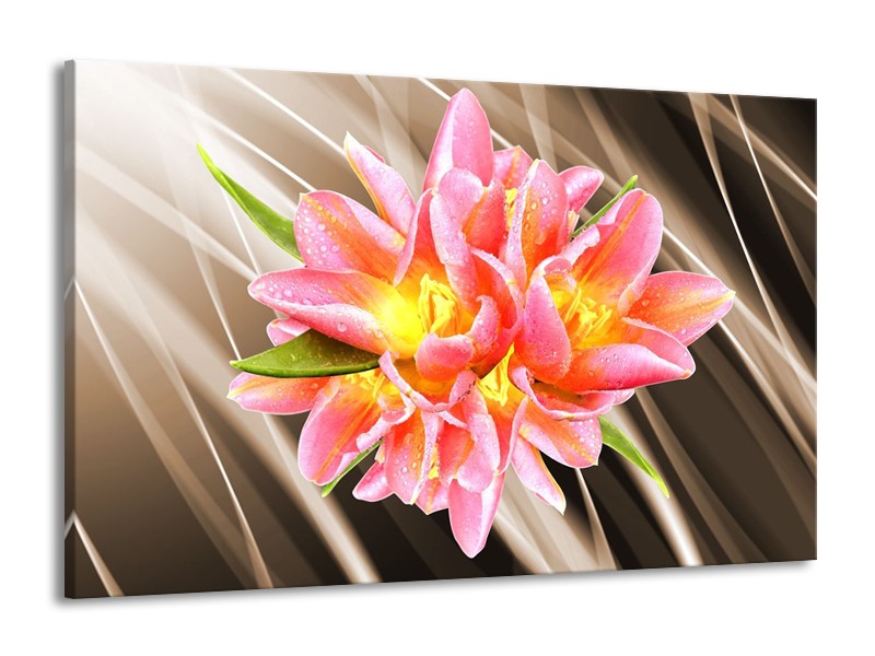 Glas schilderij Modern | Sepia, Roze, Geel | 140x90cm 1Luik