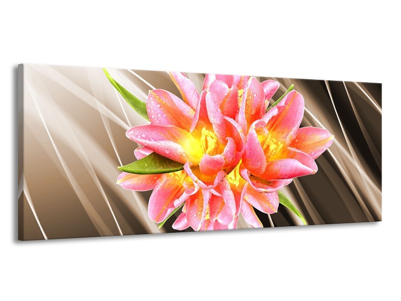 Glas schilderij Modern | Sepia, Roze, Geel | 145x58cm 1Luik