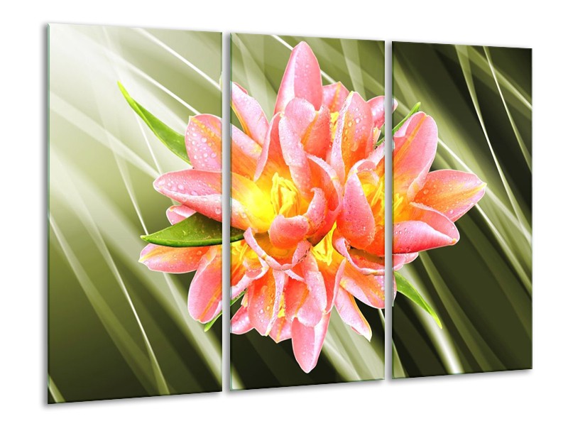 Glas schilderij Modern | Groen, Roze, Geel | 120x80cm 3Luik