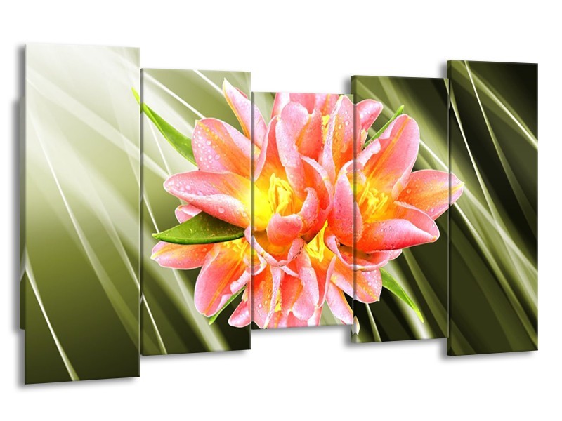 Canvas schilderij Modern | Groen, Roze, Geel | 150x80cm 5Luik
