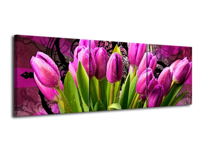 Glas schilderij Tulpen | Paars, Groen, Roze | 120x40cm 3Luik