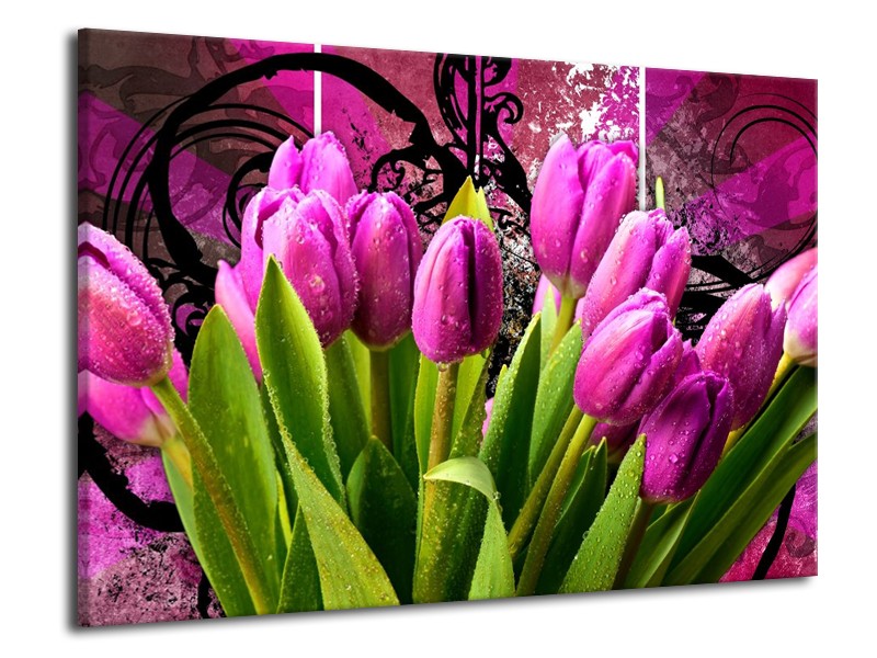 Canvas schilderij Tulpen | Paars, Groen, Roze | 70x50cm 1Luik