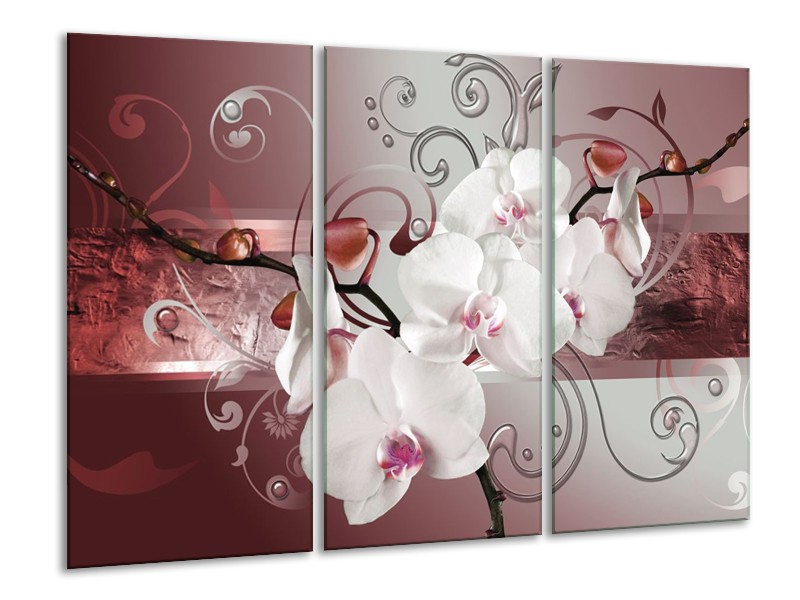 Glas schilderij Orchidee | Wit, Grijs | 120x80cm 3Luik