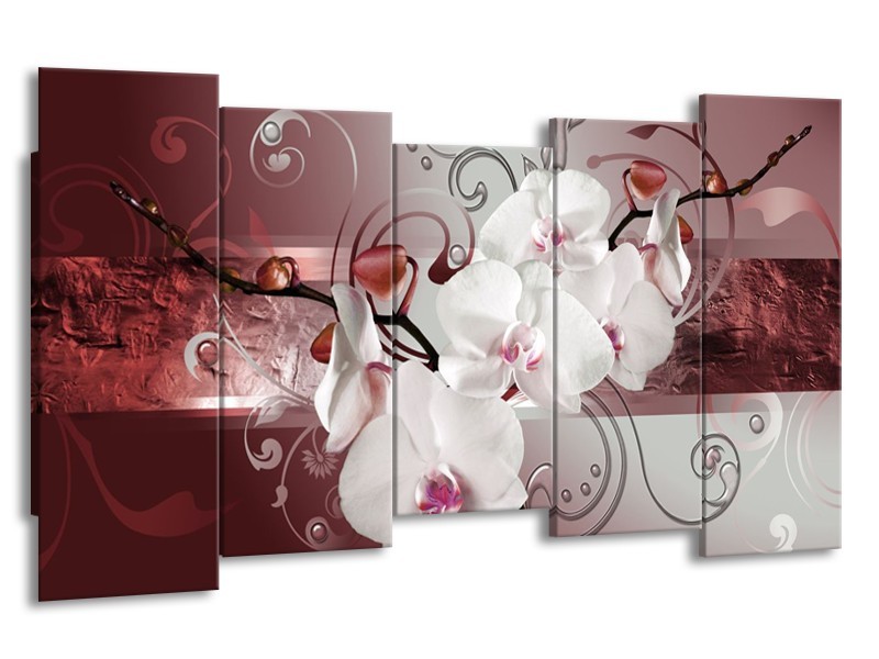 Canvas schilderij Orchidee | Wit, Grijs | 150x80cm 5Luik
