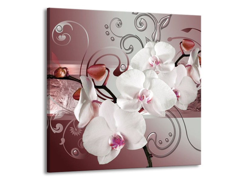 Canvas schilderij Orchidee | Wit, Grijs | 50x50cm 1Luik