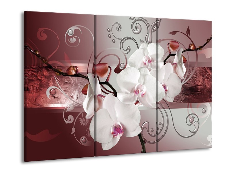 Canvas schilderij Orchidee | Wit, Grijs | 90x60cm 3Luik