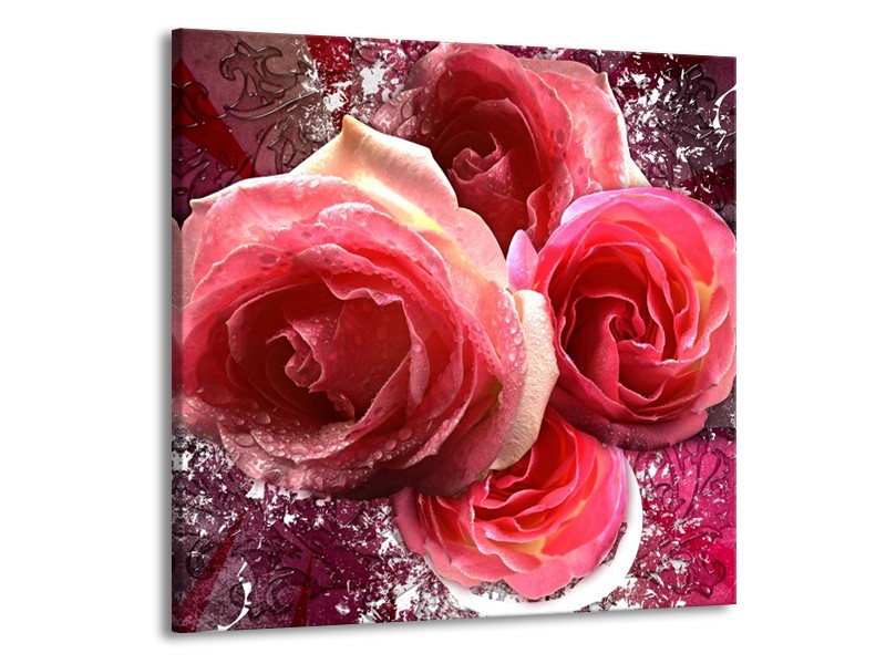 Canvas schilderij Roos | Roze, Paars, Wit | 70x70cm 1Luik