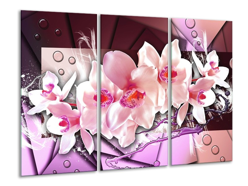 Glas schilderij Orchidee | Paars, Roze, Wit | 120x80cm 3Luik