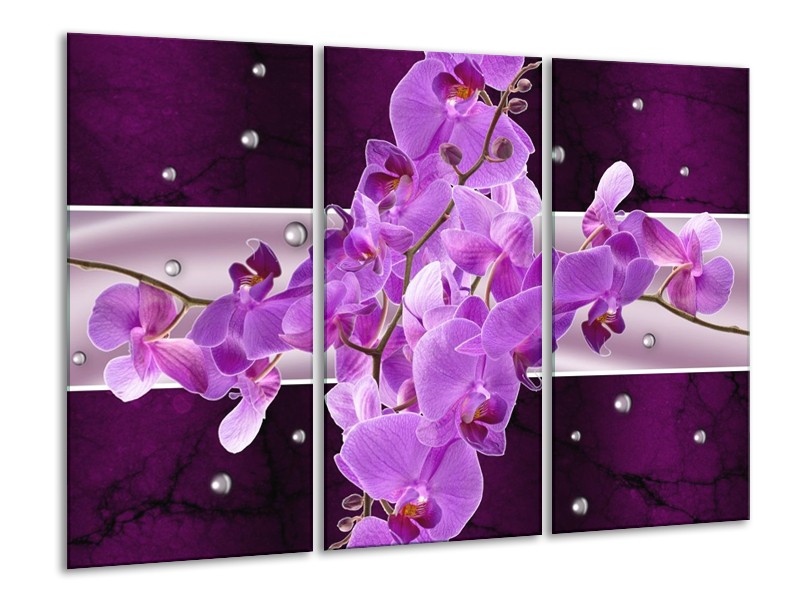 Glas schilderij Orchidee | Paars | 120x80cm 3Luik