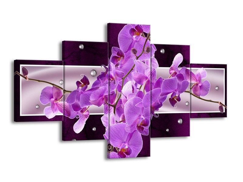 Glas schilderij Orchidee | Paars | 125x70cm 5Luik