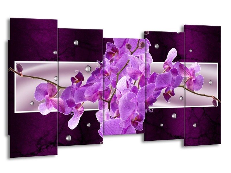 Canvas schilderij Orchidee | Paars | 150x80cm 5Luik