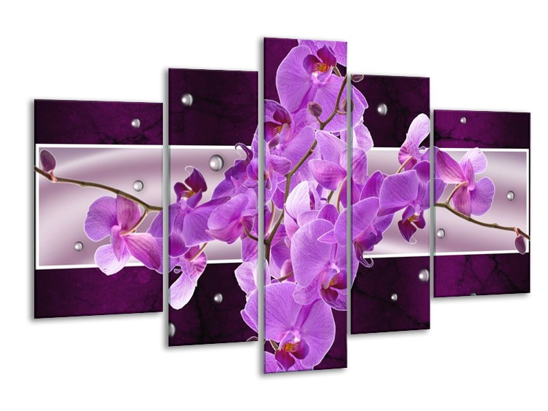 Canvas schilderij Orchidee | Paars | 170x100cm 5Luik