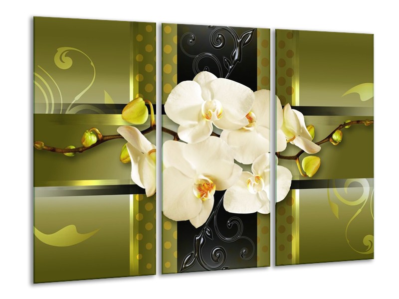 Glas schilderij Orchidee | Groen | 120x80cm 3Luik