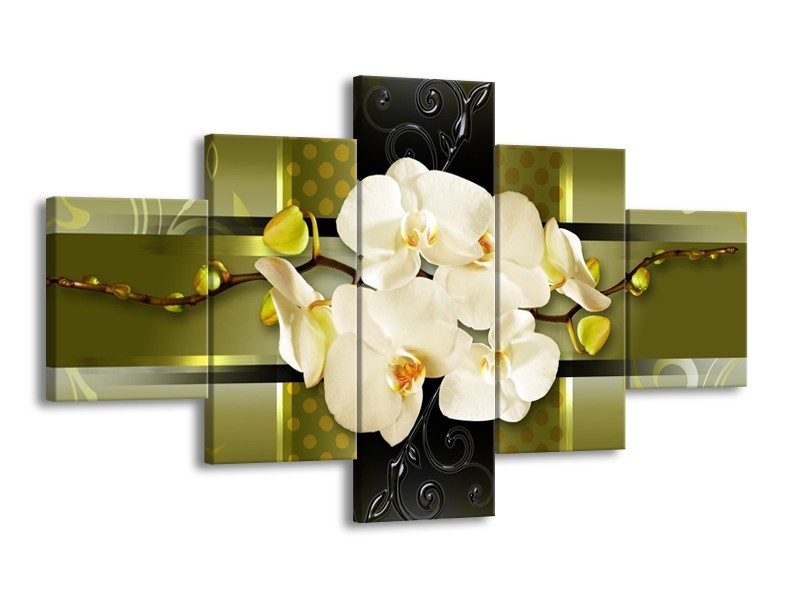 Canvas schilderij Orchidee | Groen | 125x70cm 5Luik