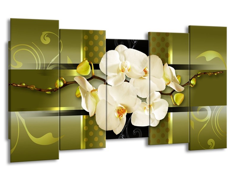 Canvas schilderij Orchidee | Groen | 150x80cm 5Luik
