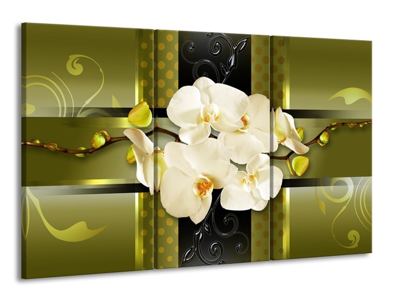Canvas schilderij Orchidee | Groen | 165x100cm 3Luik