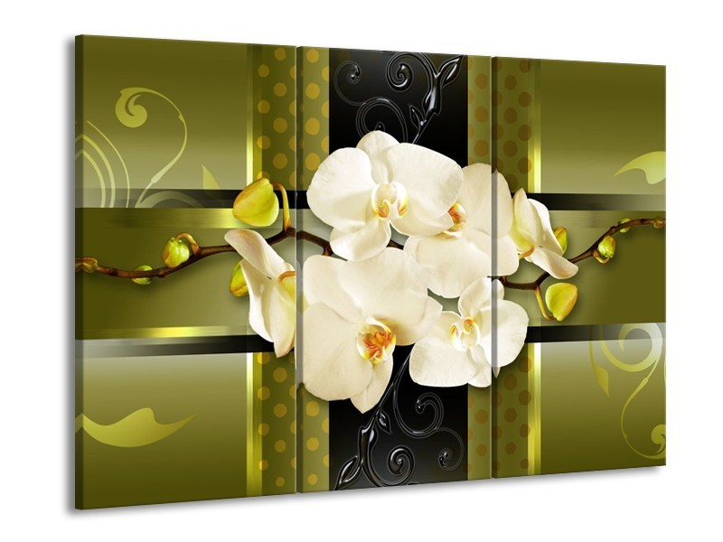 Canvas schilderij Orchidee | Groen | 90x60cm 3Luik