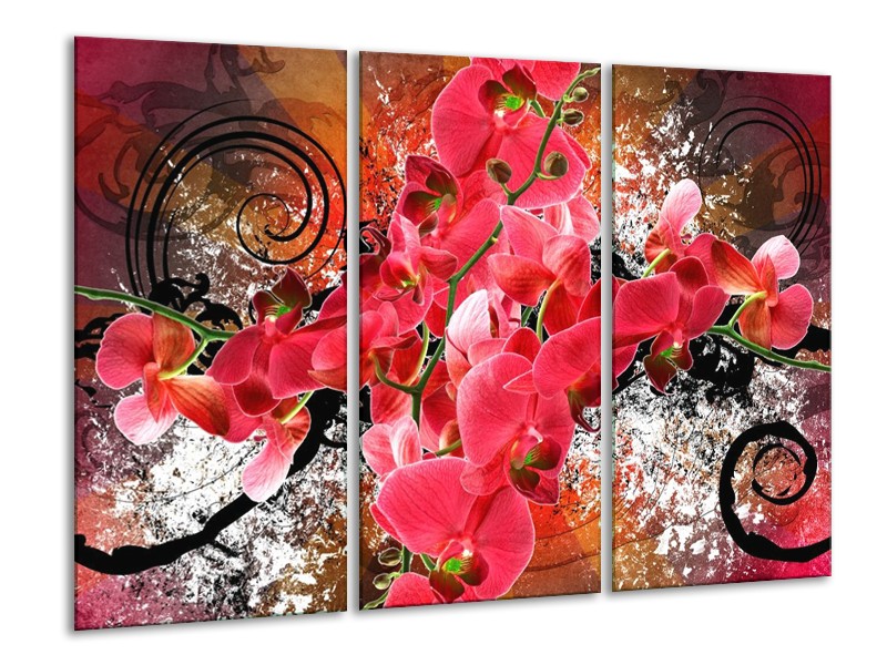 Glas schilderij Orchidee | Roze, Rood, | 120x80cm 3Luik