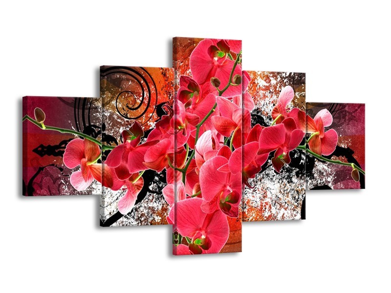 Canvas schilderij Orchidee | Roze, Rood, | 125x70cm 5Luik