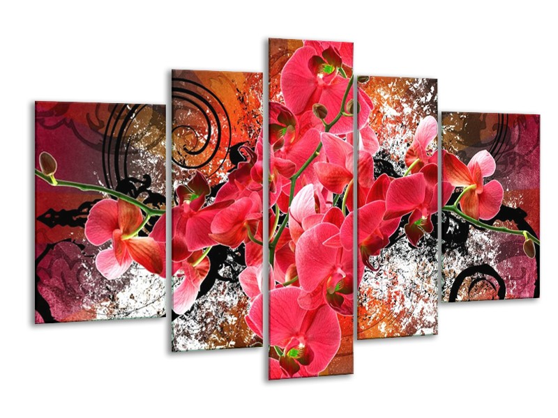 Glas schilderij Orchidee | Roze, Rood, | 170x100cm 5Luik