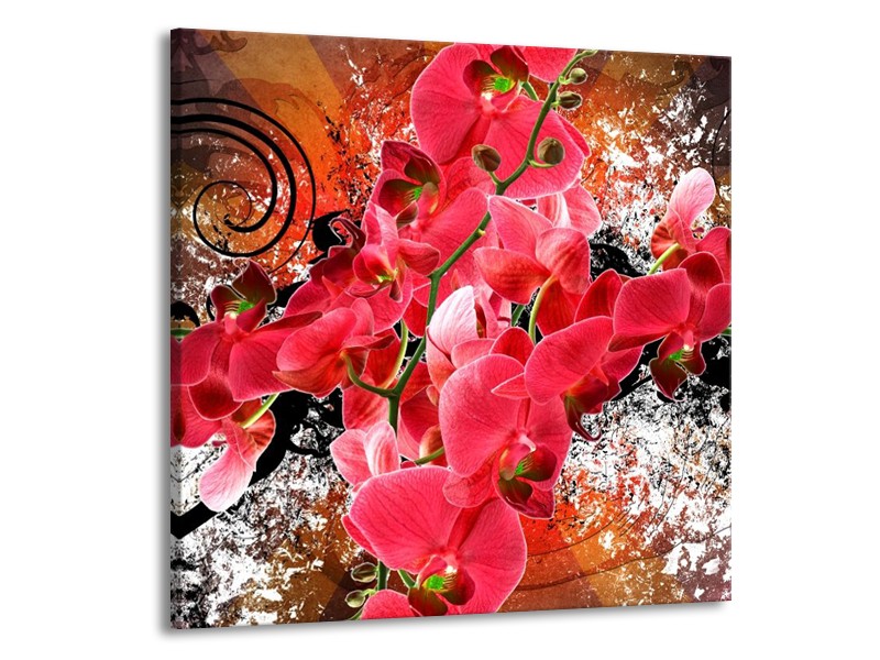 Glas schilderij Orchidee | Roze, Rood, | 50x50cm 1Luik