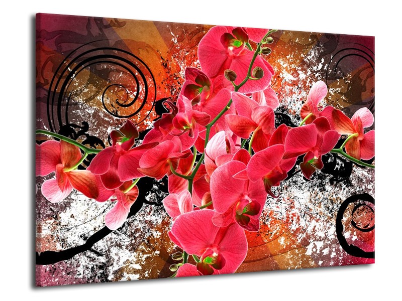 Glas schilderij Orchidee | Roze, Rood, | 70x50cm 1Luik