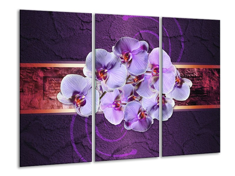 Glas schilderij Orchidee | Paars | 120x80cm 3Luik