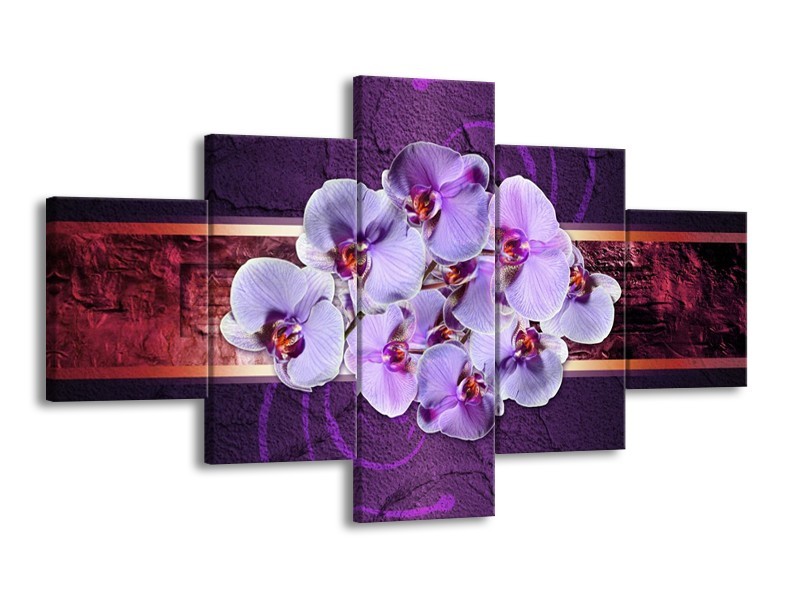 Canvas schilderij Orchidee | Paars | 125x70cm 5Luik