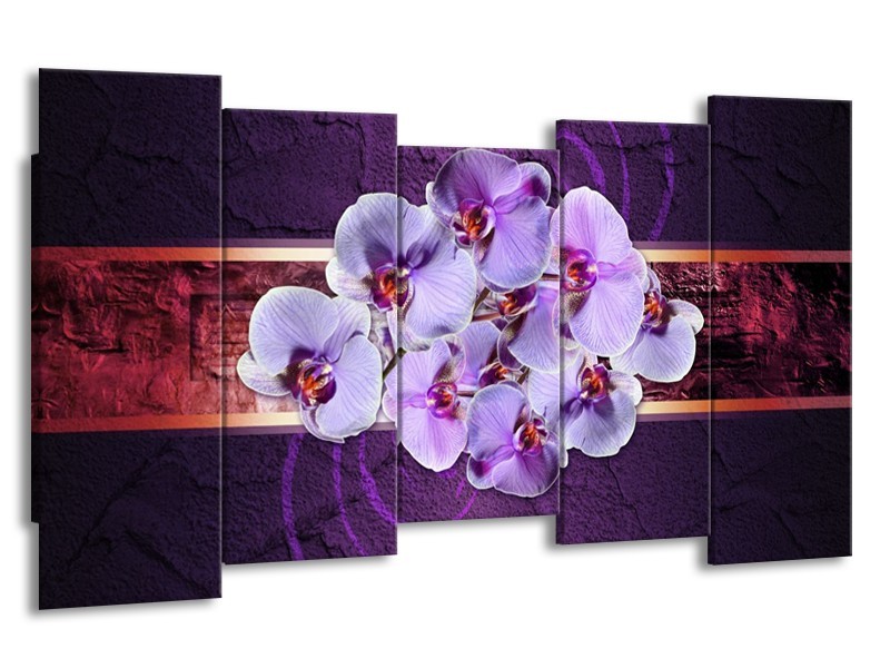 Canvas schilderij Orchidee | Paars | 150x80cm 5Luik