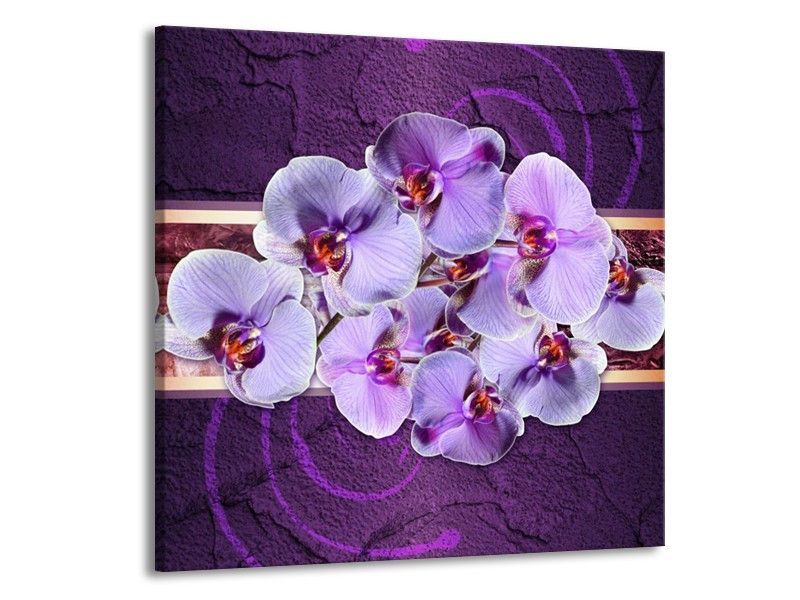 Canvas schilderij Orchidee | Paars | 50x50cm 1Luik