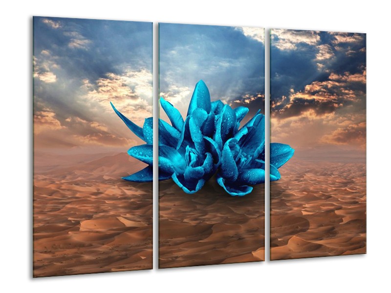 Glas schilderij Modern | Blauw, Bruin | 120x80cm 3Luik