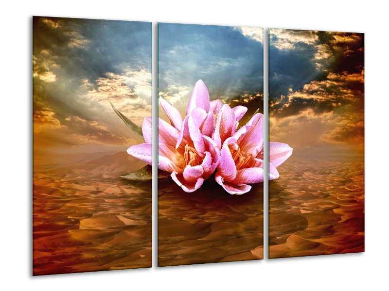 Glas schilderij Abstract | Roze, Bruin | 120x80cm 3Luik