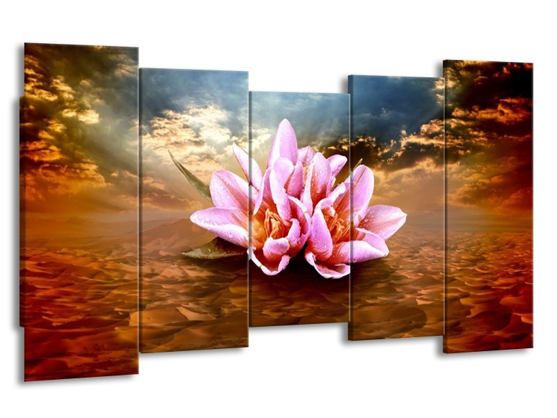 Canvas schilderij Abstract | Roze, Bruin | 150x80cm 5Luik