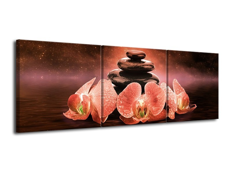 Glas schilderij Spa | Bruin | 120x40cm 3Luik