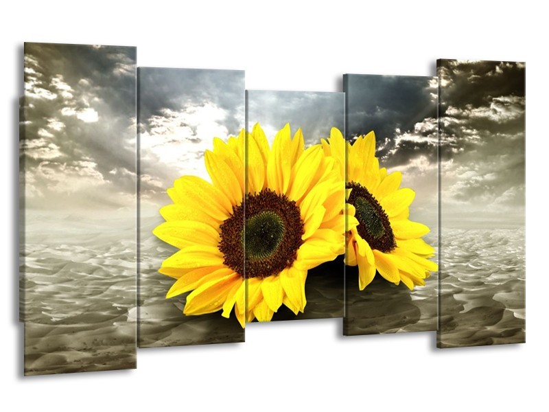 Canvas schilderij Zonnebloem | Geel, Bruin, Grijs | 150x80cm 5Luik