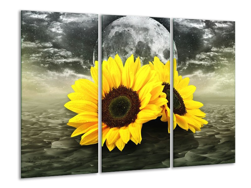 Glas schilderij Zonnebloem | Geel, Bruin, Grijs | 120x80cm 3Luik
