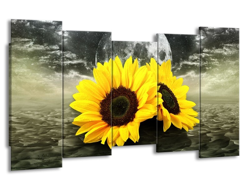 Canvas schilderij Zonnebloem | Geel, Bruin, Grijs | 150x80cm 5Luik