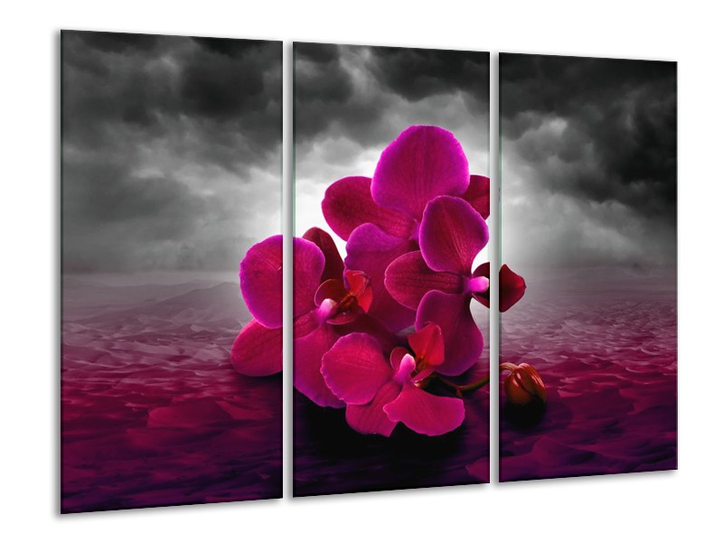Glas schilderij Orchidee | Rood, Grijs, Paars | 120x80cm 3Luik