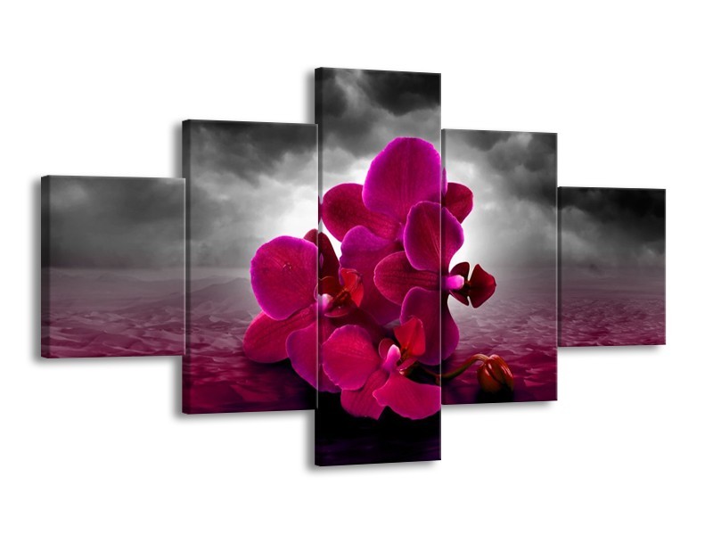 Canvas schilderij Orchidee | Rood, Grijs, Paars | 125x70cm 5Luik